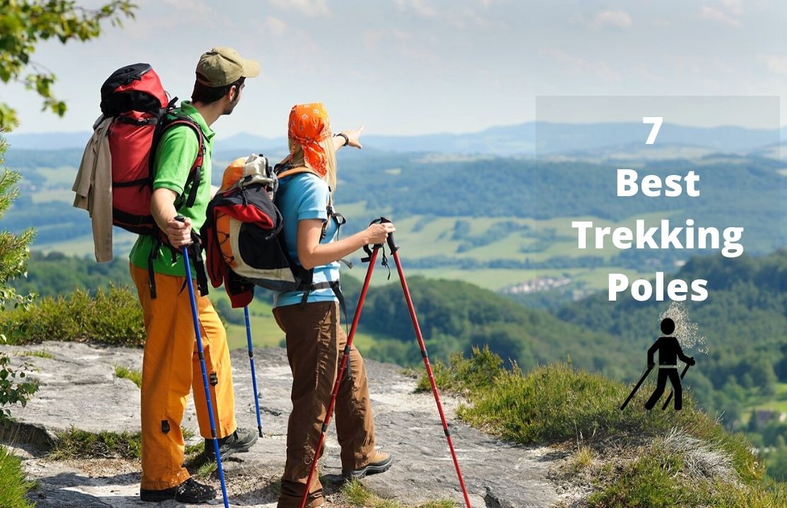 7 Best Trekking Poles (Hiking Poles) Buyer's Guide