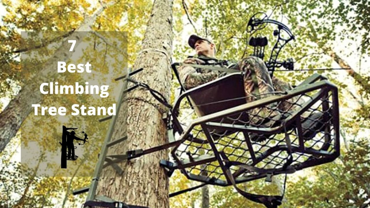 7 Best Climbing Tree Stand Reviews 2020 Buying Guide